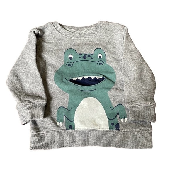 Carters Grey Dinosour 18 Month Sweatshirt Sweater - Picture 1 of 1
